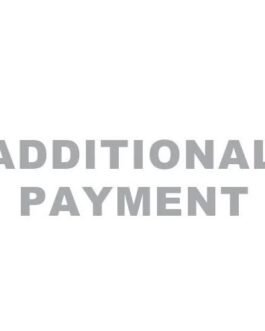 Invoice 2