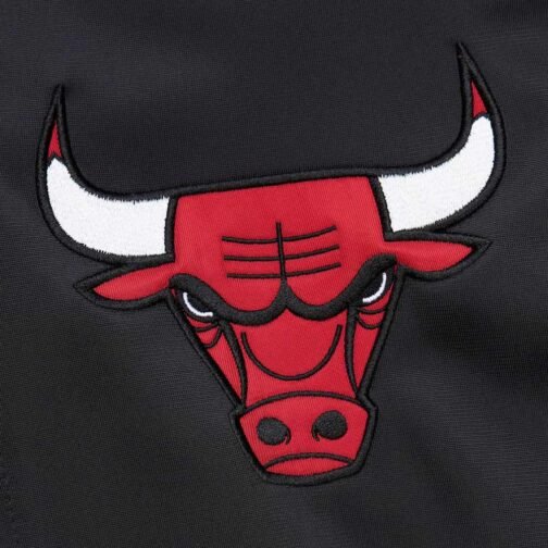 Chicago Bulls Color Blocked Full-Zip Track Jacket - Image 4