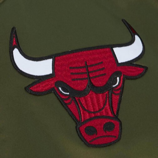 Chicago Bulls Flight Green Satin Jacket - Image 8