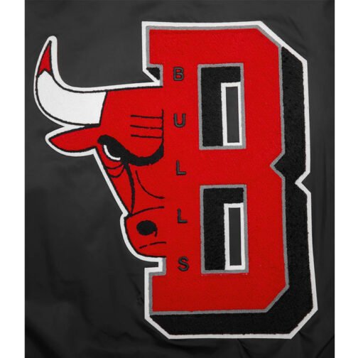Chicago Bulls Mashup Classic Rib Satin Jacket - Image 9