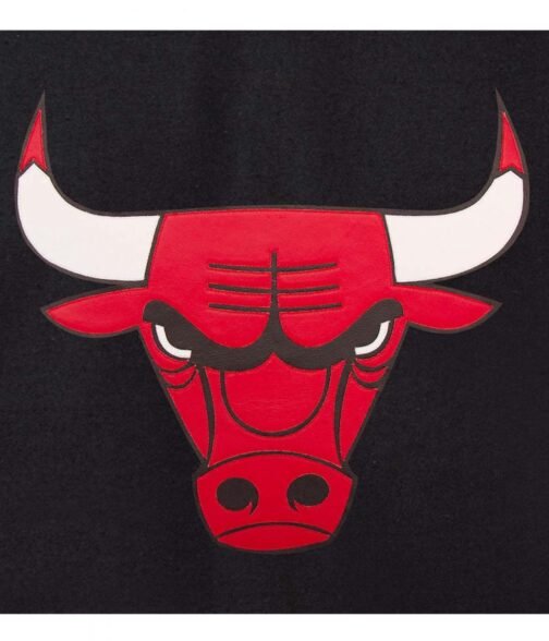 Varsity Chicago Bulls College Black and Red Jacket - Image 5