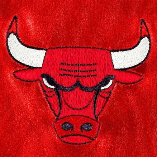 Chicago Bulls Metallic Red Jacket - Image 4