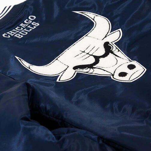 Chicago Bulls Striped Satin Jacket - Image 14
