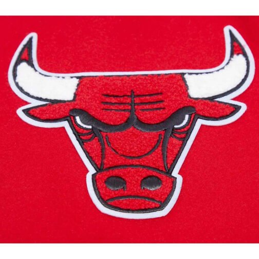 Classic Chicago Bulls Varsity Wool/Leather Jacket - Image 22