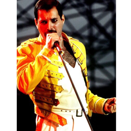 Freddie Mercury Yellow Leather Jacket - Image 10