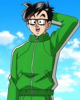 Gohan Dragon Ball Super Track Green Jacket