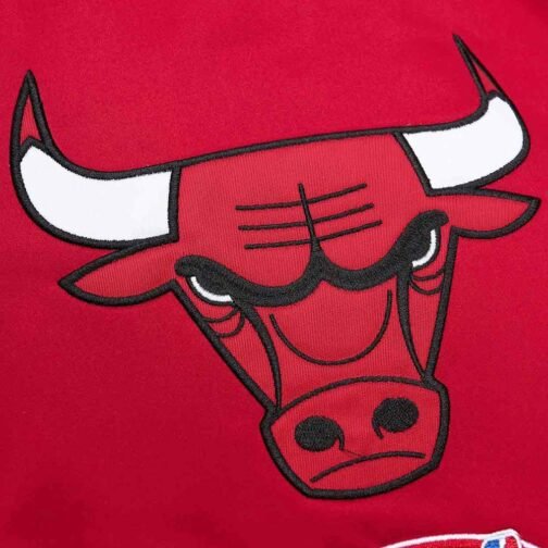 Eastern Conference Chicago Bulls Jacket - Image 3