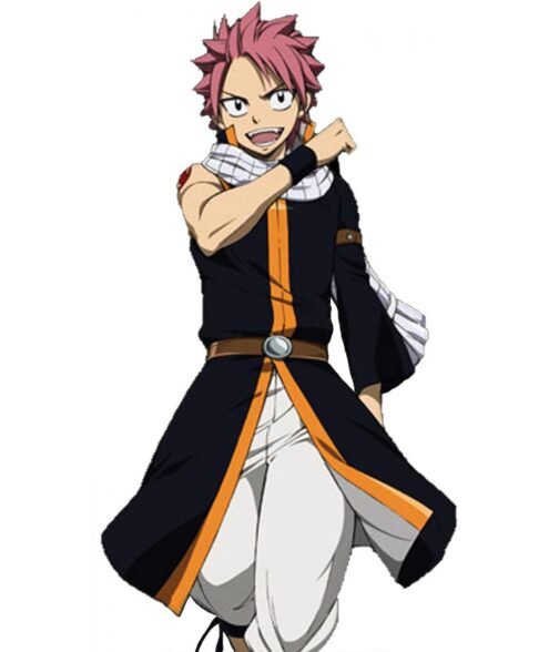 Natsu Dragneel Fairy Tail Cotton Black Coat - Image 2