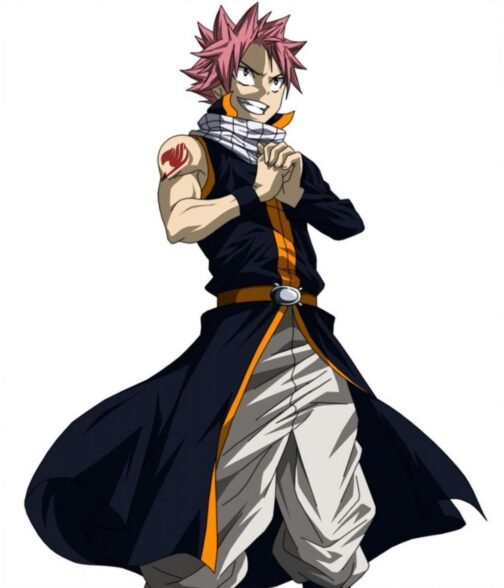 Natsu Dragneel Fairy Tail Cotton Black Coat - Image 6