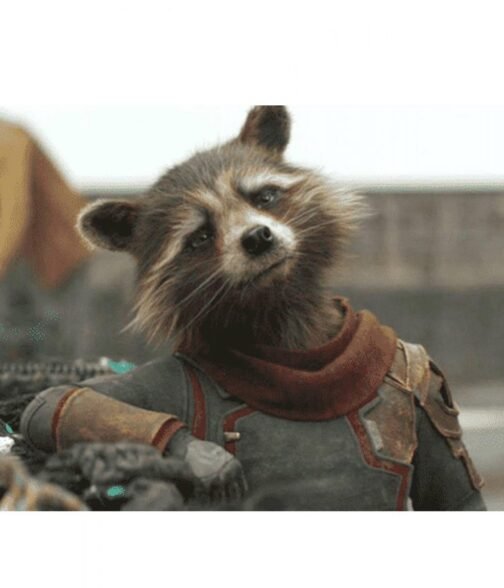 Rocket Raccoon Guardians of The Galaxy Vol 3 Blue Jacket - Image 2