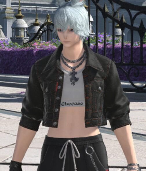 Hip Street FFXIV Cropped Black Denim Jacket - Image 4