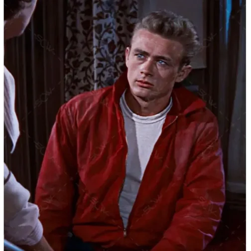 James Dean Rebel Without a Cause Red Cotton Jacket - Image 5