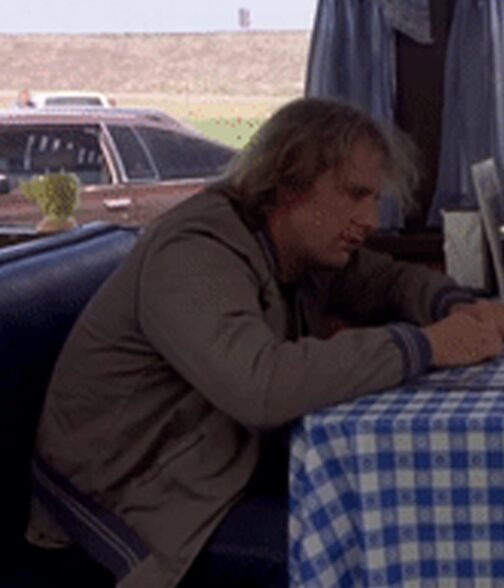Jeff Daniels Dumb and Dumber Harry Jacket - Image 10