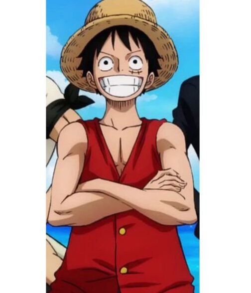 Monkey D. Luffy One Piece Cotton Red Vest - Image 6
