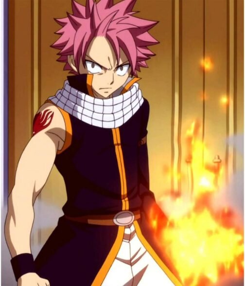 Natsu Dragneel Fairy Tail Cotton Black Coat - Image 7