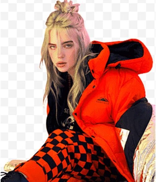 Orange Billie Eilish Puffer Jacket - Image 7