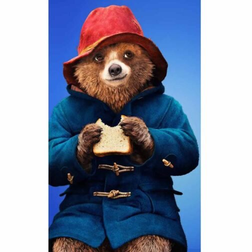 Paddington Bear Duffle Hooded Coat - Image 7