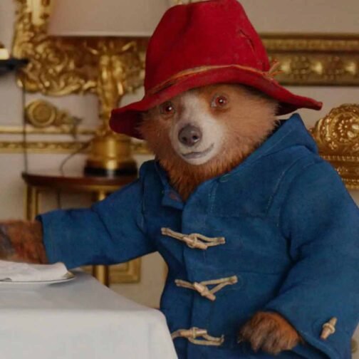 Paddington Bear Duffle Hooded Coat - Image 5
