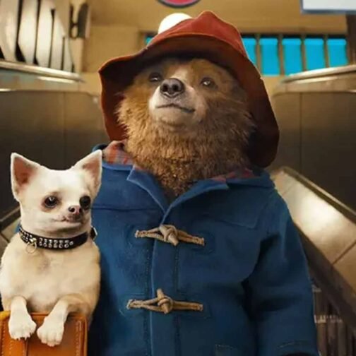 Paddington Bear Duffle Hooded Coat - Image 6
