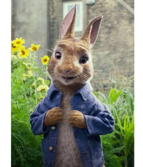 Peter Rabbit 2 The Runaway Denim Blue Jacket - Image 7