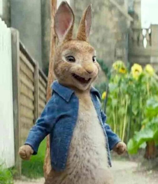 Peter Rabbit 2 The Runaway Denim Blue Jacket - Image 5
