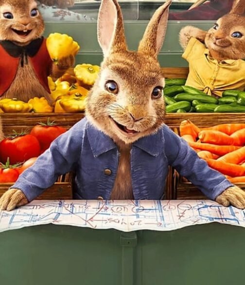 Peter Rabbit 2 The Runaway Denim Blue Jacket - Image 8
