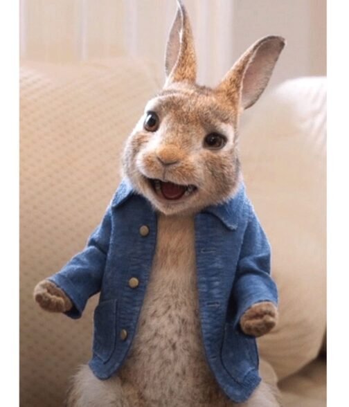 Peter Rabbit 2 The Runaway Denim Blue Jacket - Image 9