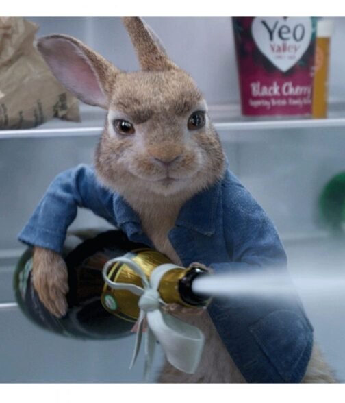 Peter Rabbit 2 The Runaway Denim Blue Jacket - Image 10