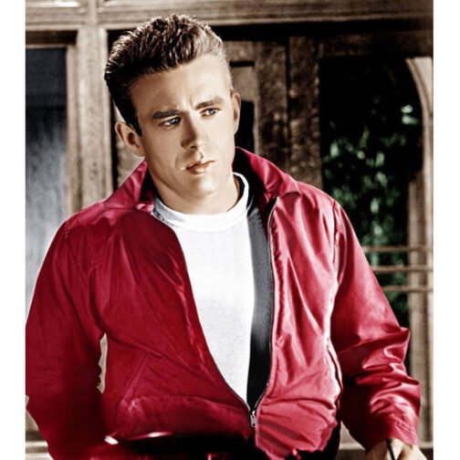 James Dean Rebel Without a Cause Red Cotton Jacket - Image 10
