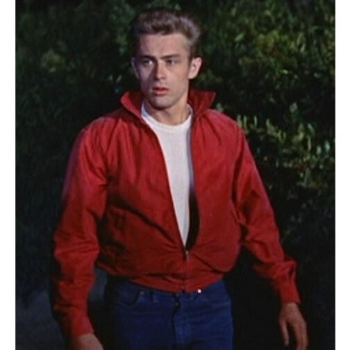 James Dean Rebel Without a Cause Red Cotton Jacket - Image 6