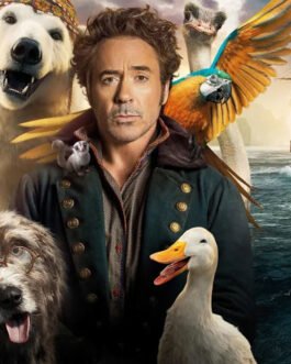 Robert Downey Jr. Dolittle Coat