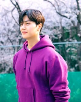 Nevertheless Song Kang Pullover Fleece Hoodie