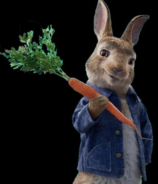 Peter Rabbit 2 The Runaway Denim Blue Jacket - Image 12
