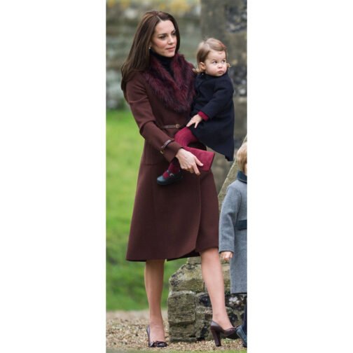 Hobbs Celeste Chestnut Brown Coat - Image 5