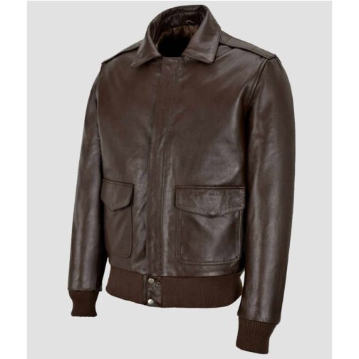 Kendall Jenner Brown Bomber Leather Jacket - Image 4
