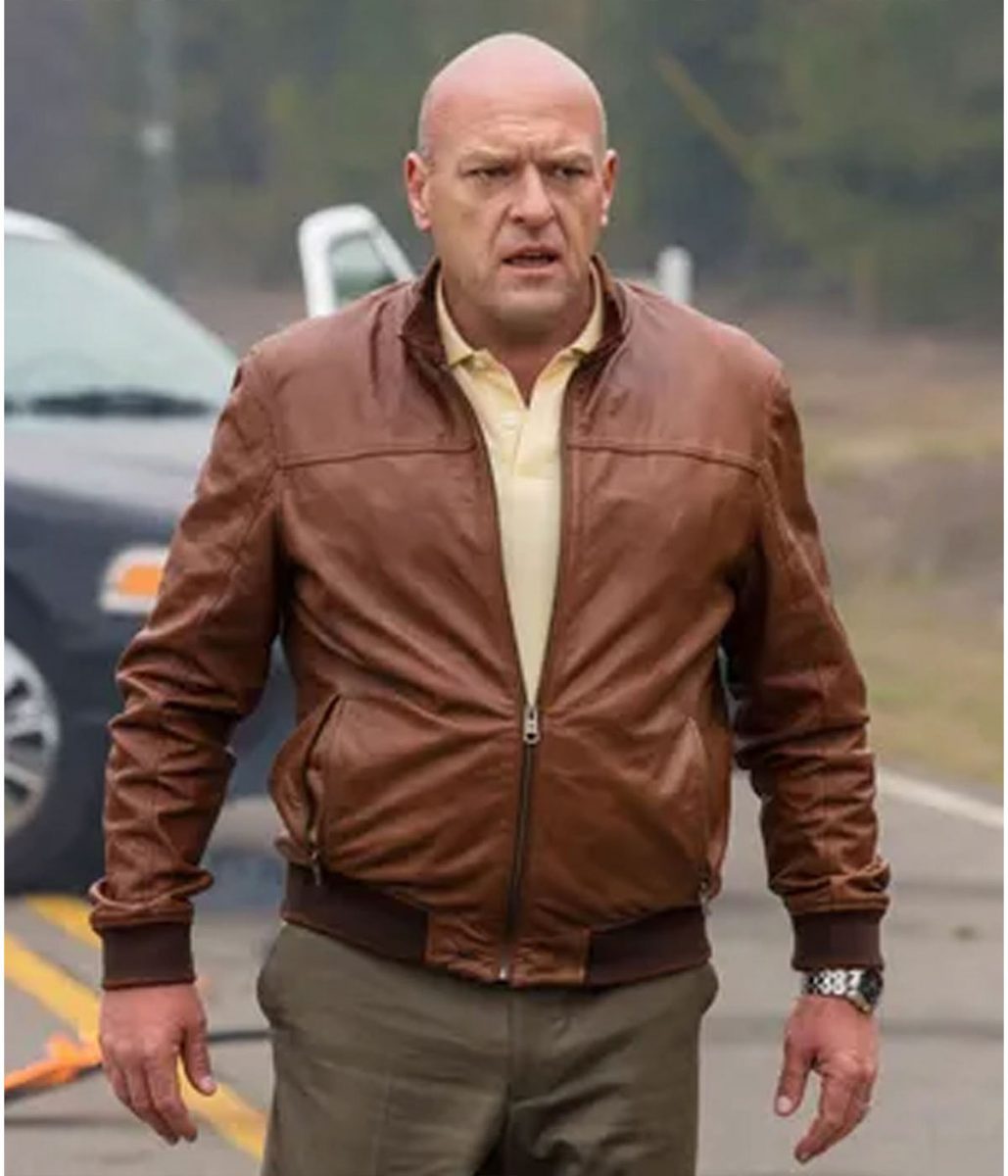 Dean Norris Breaking Bad Brown Bomber Leather Jacket - Image 2